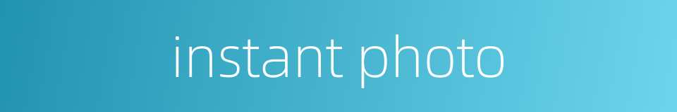 instant photo的同义词