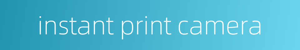 instant print camera的同义词