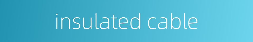 insulated cable的同义词