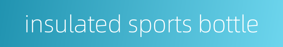 insulated sports bottle的同义词