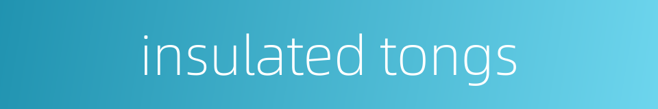 insulated tongs的同义词