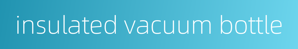 insulated vacuum bottle的同义词