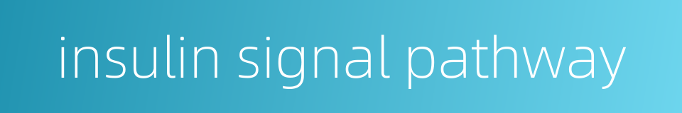 insulin signal pathway的同义词