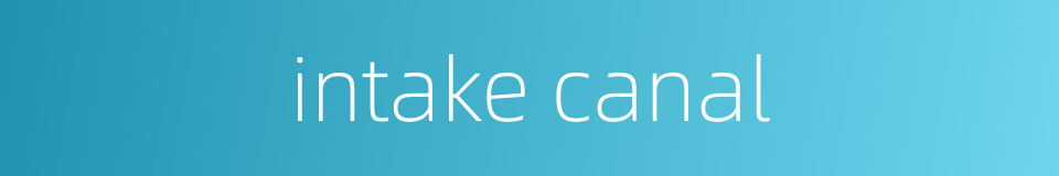 intake canal的同义词