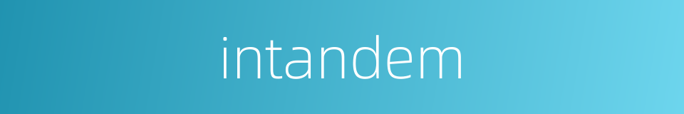intandem的同义词