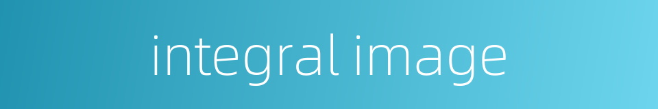 integral image的同义词