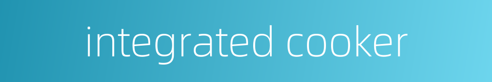 integrated cooker的同义词