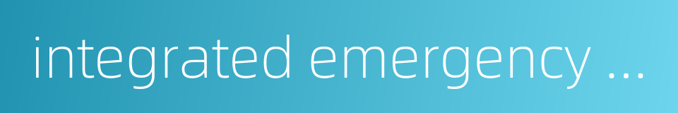 integrated emergency manage的同义词