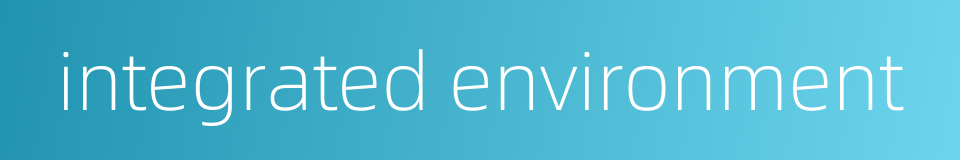 integrated environment的同义词