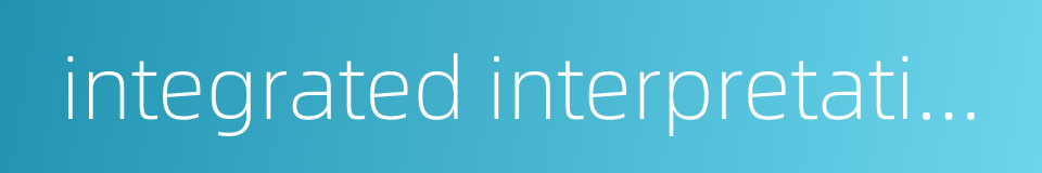 integrated interpretation的同义词