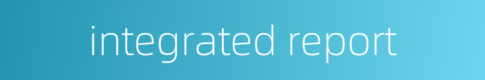 integrated report的同义词