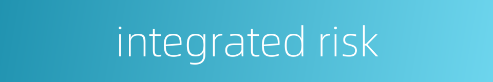 integrated risk的同义词