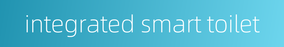 integrated smart toilet的同义词