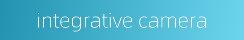 integrative camera的同义词