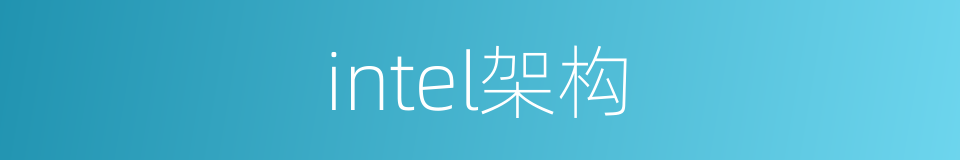 intel架构的同义词