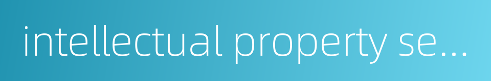 intellectual property securitization的同义词