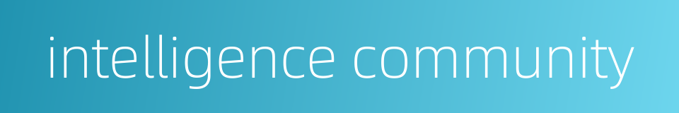 intelligence community的同义词