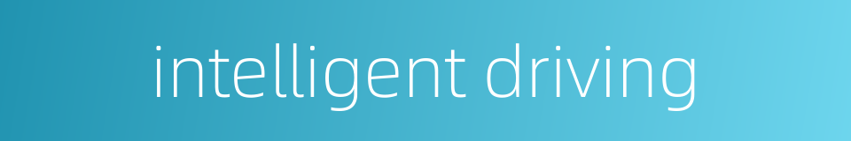 intelligent driving的同义词