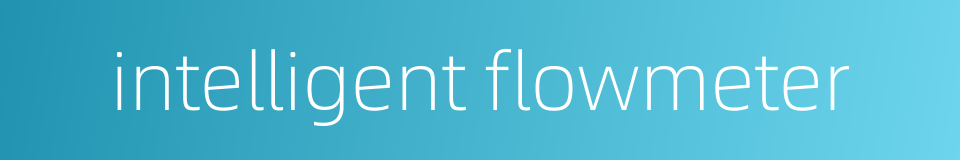 intelligent flowmeter的同义词