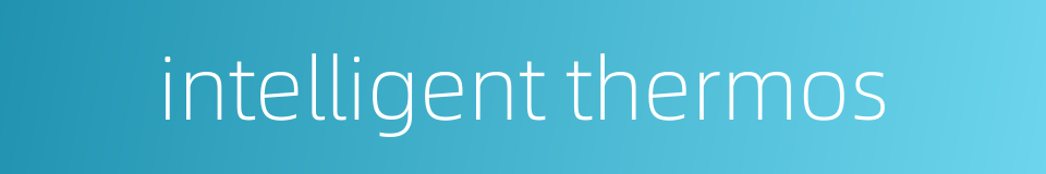 intelligent thermos的同义词