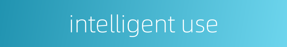 intelligent use的同义词