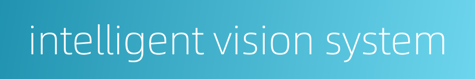 intelligent vision system的同义词