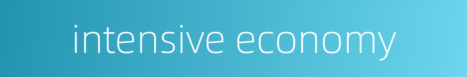 intensive economy的同义词