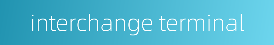 interchange terminal的同义词
