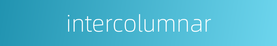 intercolumnar的同义词
