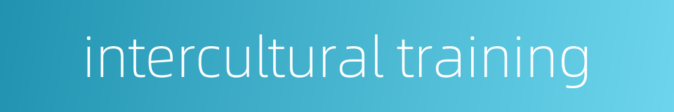 intercultural training的同义词