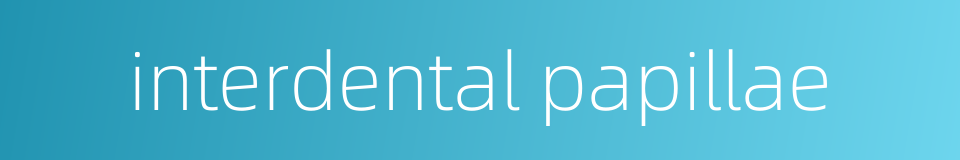 interdental papillae的同义词