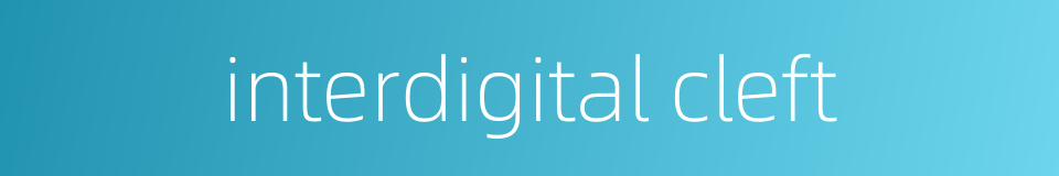 interdigital cleft的同义词