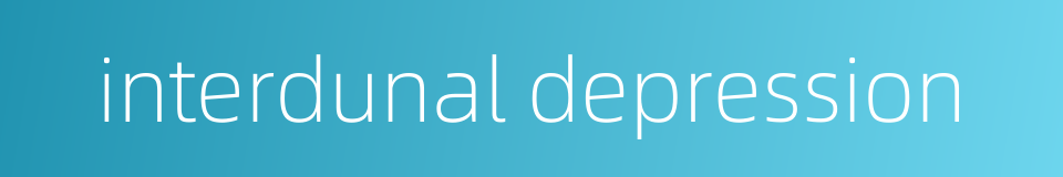 interdunal depression的同义词
