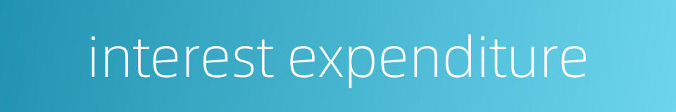 interest expenditure的同义词