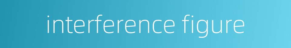 interference figure的同义词