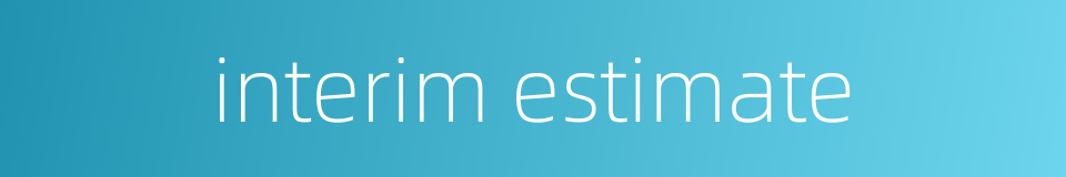 interim estimate的同义词