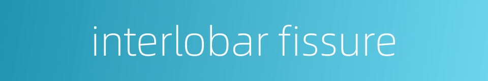 interlobar fissure的同义词
