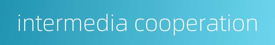 intermedia cooperation的同义词