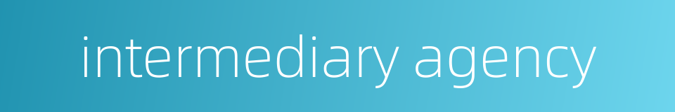 intermediary agency的同义词