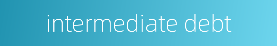 intermediate debt的同义词