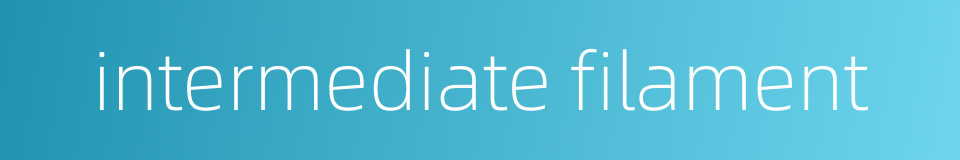 intermediate filament的同义词