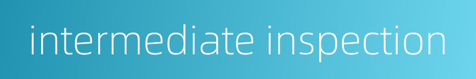 intermediate inspection的同义词