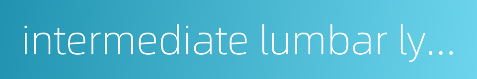 intermediate lumbar lymph nodes的同义词