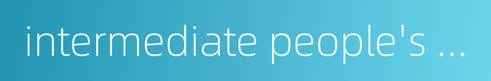 intermediate people's court的同义词