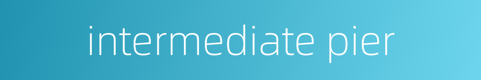 intermediate pier的同义词