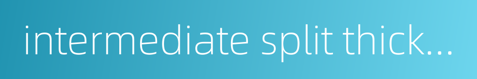 intermediate split thickness skin graft的同义词