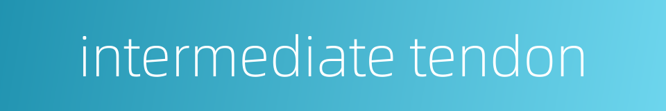 intermediate tendon的同义词