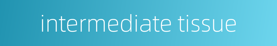 intermediate tissue的同义词