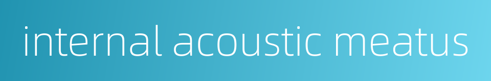 internal acoustic meatus的同义词