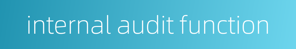 internal audit function的同义词